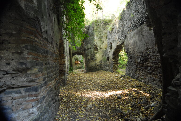 SABATO 27 FEBBRAIO 2021. PASSEGGIAMO IN SICUREZZA. IL MONUMENTO NATURALE DI GALERIA ANTICA.